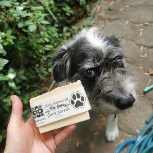 Jabón artesanal para perros
